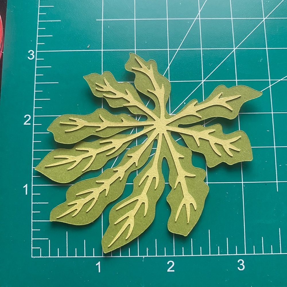 3D Magnet Fatsia Japonica Tropical Leaf